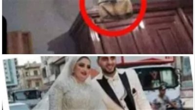 عروس الدقهليه الجزء الاخير