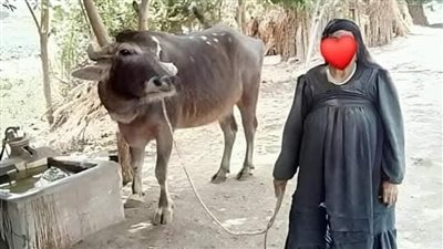 قولتلها إني كنت رايح أصلي العشاء